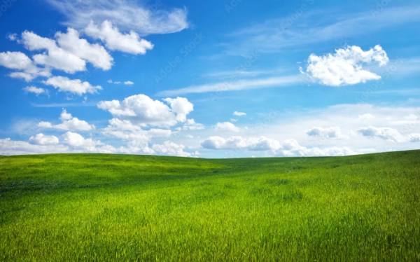 Lush green rolling hills under a bright blue sky with fluffy white clouds.