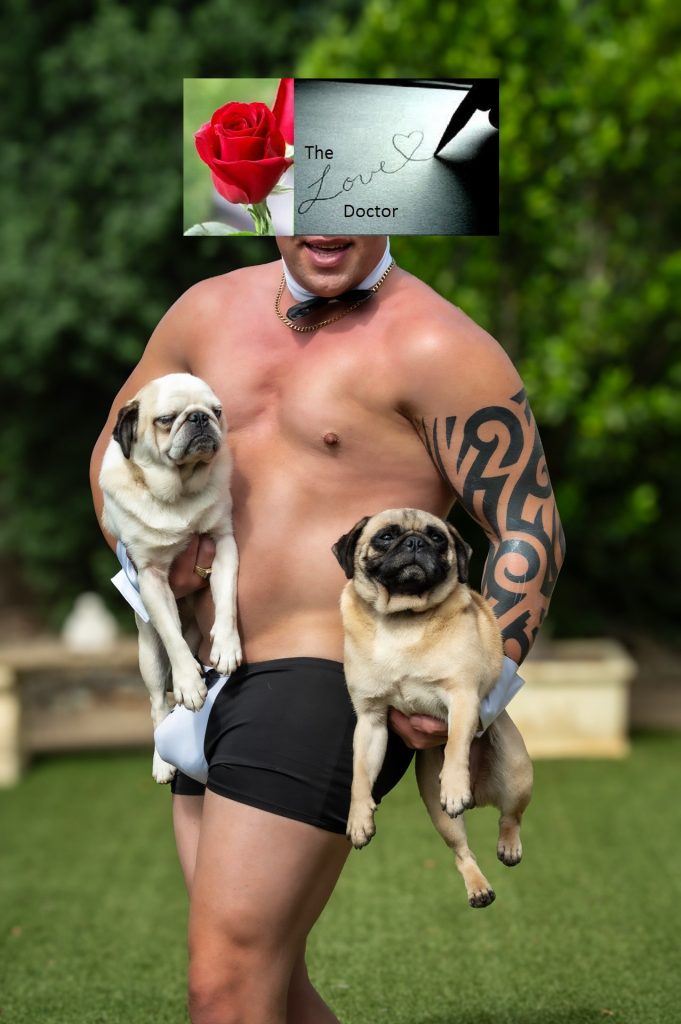Man holding two pugs with a rose and 
