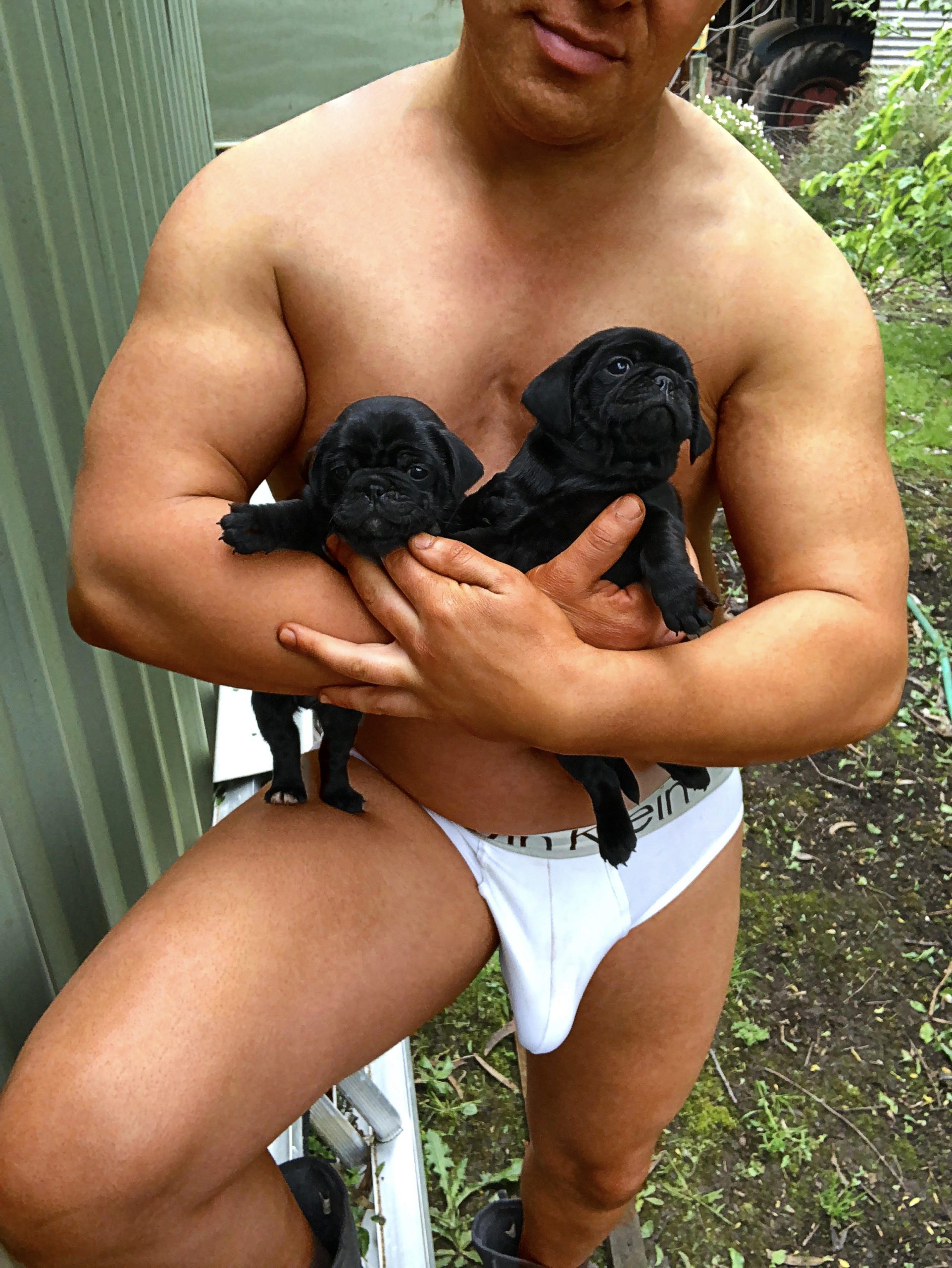 Muscular man holding two adorable black pug puppies