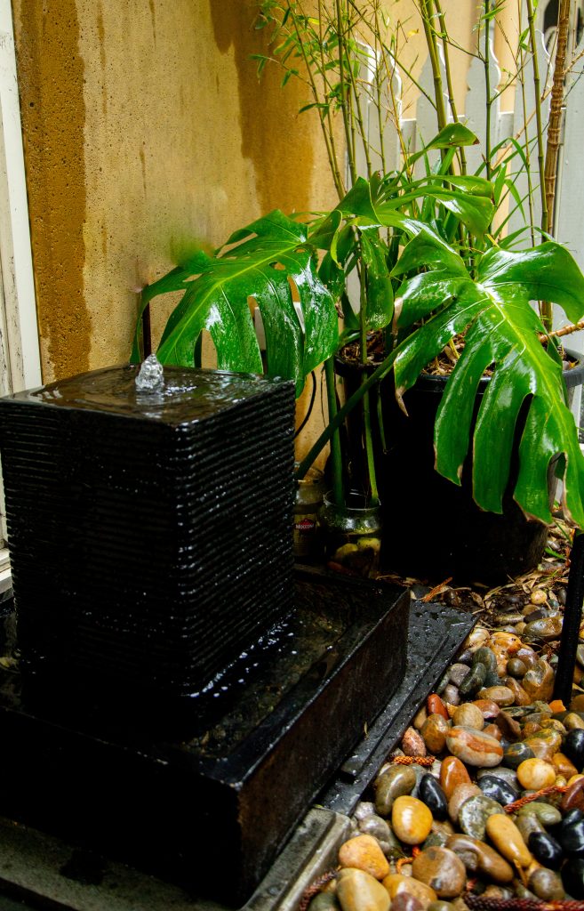 Modern black water fountain with lush green monstera plant and bamboo.