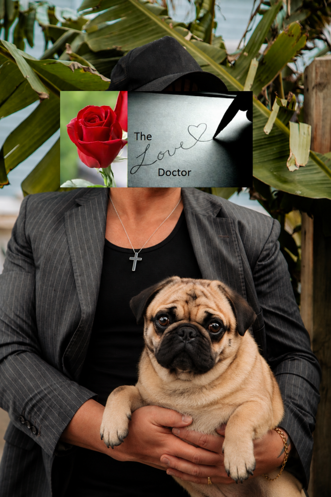 Person in a suit holding a pug, with a rose and 