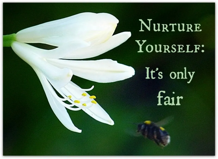 Who is the important one?